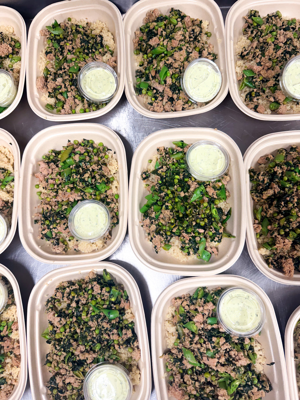 Wednesday Meals (6/17)